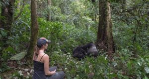 Planning a Gorilla Trekking Safari in Africa Gorilla Trekking