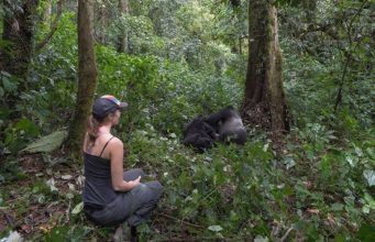 Planning a Gorilla Trekking Safari in Africa Gorilla Trekking