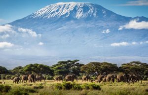 Things to Know before Climbing Mount Kilimanjaro Mount Kilimanjaro