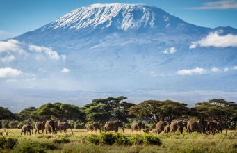 Things to Know before Climbing Mount Kilimanjaro Mount Kilimanjaro