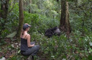 Planning a Gorilla Trekking Safari in Africa Gorilla Trekking