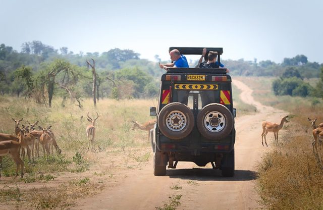 Rwanda Safari