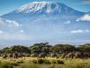 Things to Know before Climbing Mount Kilimanjaro Mount Kilimanjaro
