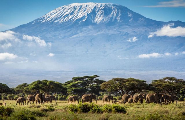 Mount Kilimanjaro